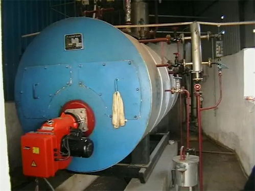 燃氣鍋爐節能 東川區燃氣鍋爐 天成熱能廠家 查看