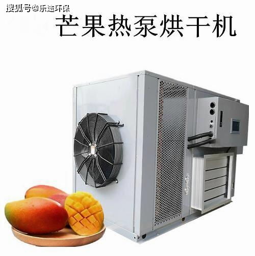 食品烘干設備 水果烘干設備之芒果烘干機的選型