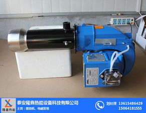 隆鑫熱能設(shè)備 多圖 進(jìn)口燃燒機(jī) 燃燒機(jī)