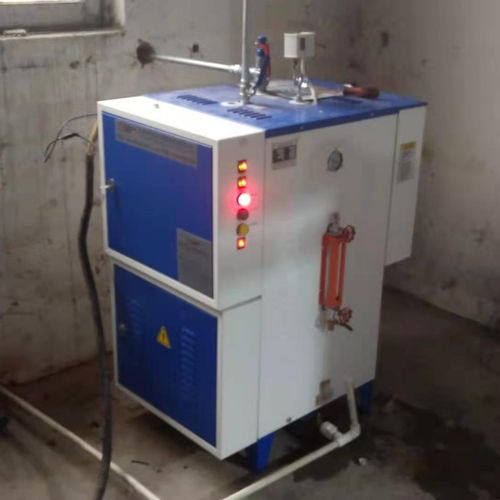 立浦熱能60kw電蒸汽發生器 蔬菜殺青食品加工 蒸汽 鍋爐ldr0.035 0.7 谷瀑環保