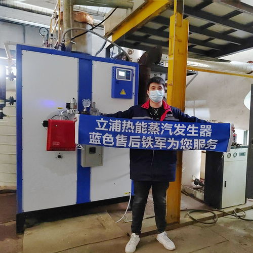 立浦熱能商用燃?xì)庹羝l(fā)生器300kg釀酒豆腐煮豆?jié){蒸饅頭溫控燃?xì)庹羝仩tlws0.3 0.7 y q 谷瀑環(huán)保