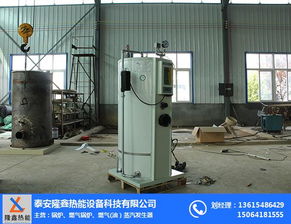 小型電熱蒸汽發(fā)生器 蒸汽發(fā)生器 隆鑫熱能設(shè)備