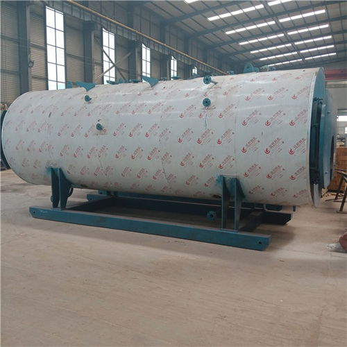 工業(yè)真空熱水鍋爐價(jià)格 香港工業(yè)真空熱水鍋爐 泰安隆鑫熱能設(shè)備