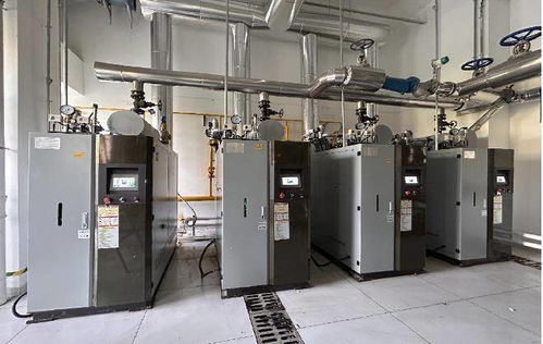 燃?xì)庹羝l(fā)生器免辦證規(guī)定標(biāo)準(zhǔn),蒸發(fā)器廠家