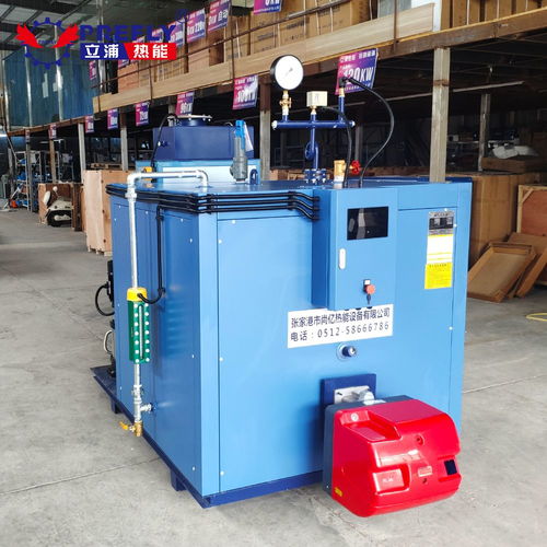 立浦熱能500kg燃氣蒸汽發(fā)生器蒸汽養(yǎng)護室箱梁蒸養(yǎng)t梁養(yǎng)護 蒸汽鍋爐lws0.5 0.7 y.q 谷瀑環(huán)保