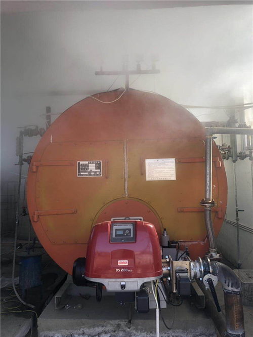 沼氣燃燒器總代 在線咨詢 青海燃燒器