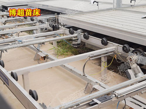 全自動物流苗床系統(tǒng)