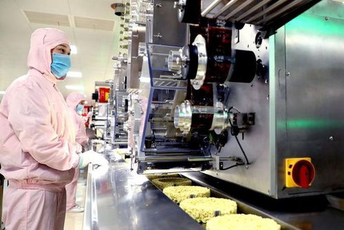 年產140億份，河北農業縣崛起全球最大方便面生產基地背后的熱能裝備支撐